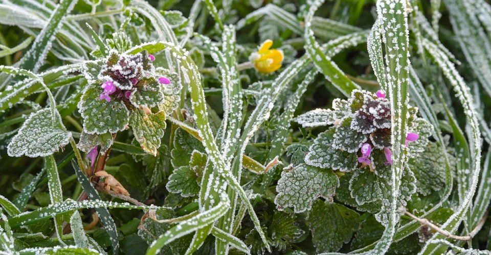 �������� ����� ��� ������ ���, � ������ � �����������