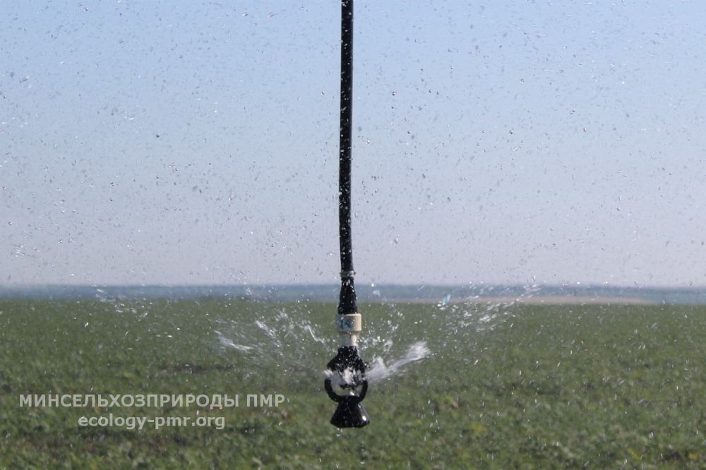 ���������� ������ �� ���������� � ������ ��������� ������ � ����� ������������� �������: ��������������� ���������, �����, ���������������� ����������