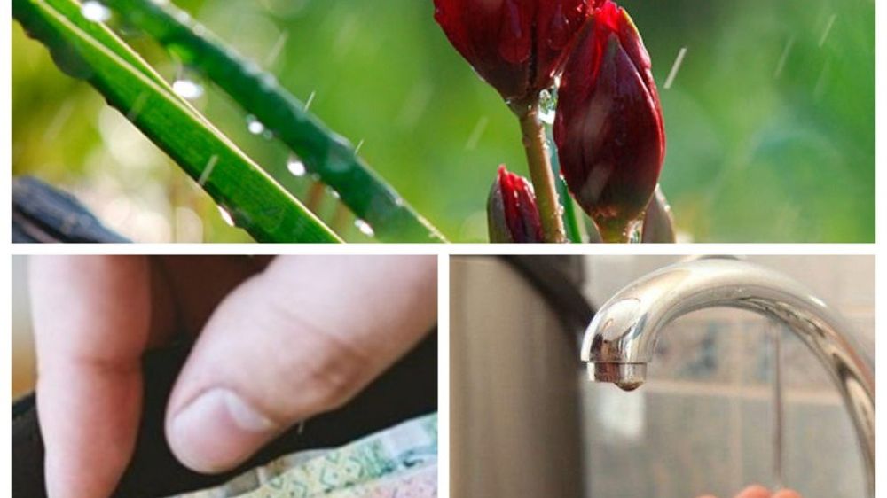 ���-5 �������� � ������� 15 ����� 2025: ������� ���� ������ ����������� � �����; ������ ������� � ������ ����������� �� �������� - ������ ����� �������� � ����� ��� ��������; ������� � ����� ����� ����� ������� ������� ��������