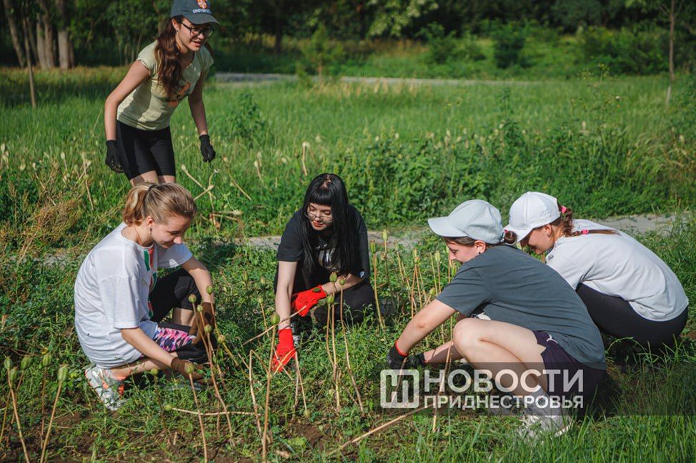 ����� ������ ���������� ������������� �� ��������� � ������ �� 2024 ���