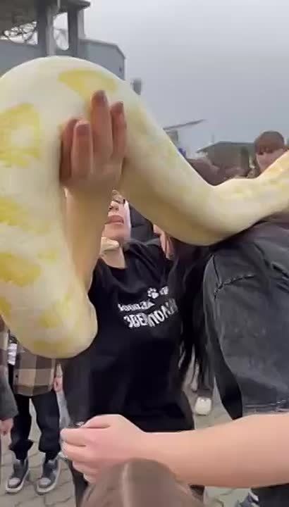 ������ �������� ����� ������