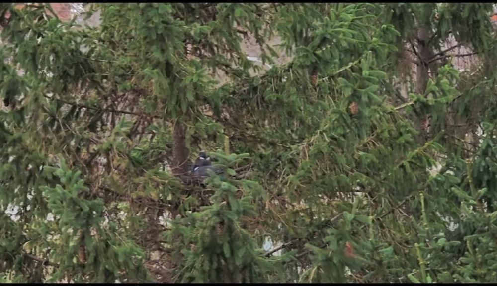 ������ ���������� �� ������ ����� ���������� ����