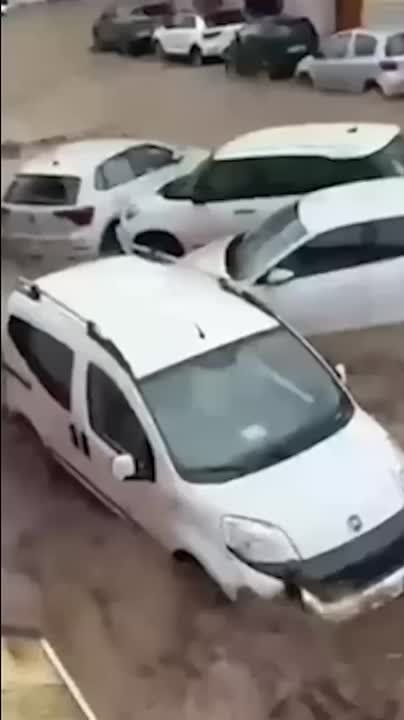 ������ ���� ��� ����. �� ������ �������� ����, ������ ������, ������ ����� � ����