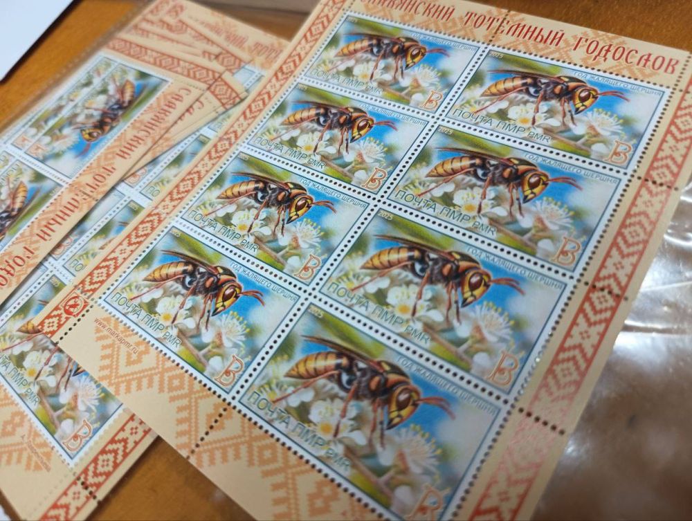 Ҹ����� ���� ������ ������� �������