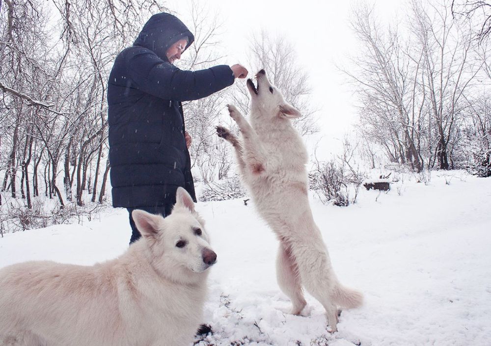 ������ ���� � ���������� ���� � �����, ��� �� ��� �� �������, ������ ��������