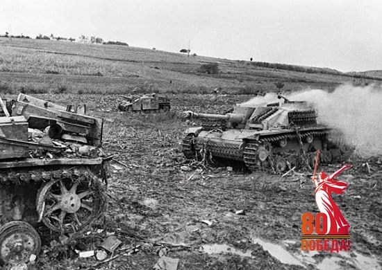 ������ ���������: �� ������� ������ 54 ���