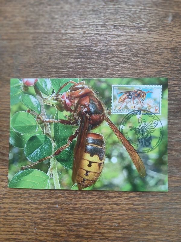 � ���������� ��������-������������� ����� ���������� ����������� ����� � 80-����� ������� ������