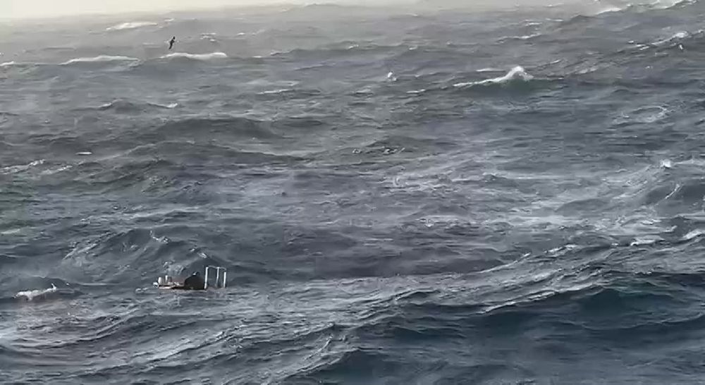 100 ���� ���������� �������� Ը���� �������� ����� ����� �����