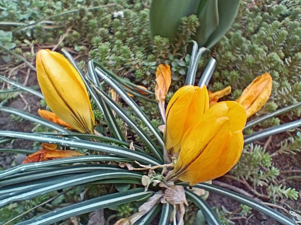 ������� ������ ����� ��� �� ����� �������, �� �������������