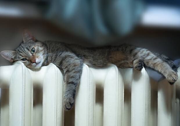 � ��������� � ����� ������� �������