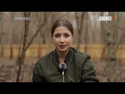 ������� ������, ��� ���� ������ ������� ��������� �� �������������? ���� ������� �������� �12 ������� ��������: ��� ����� ����������� �� �� ����, � � ���