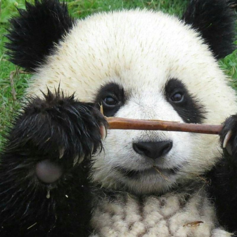 ������� �� ���� ���� �������� ������������� ���� �����