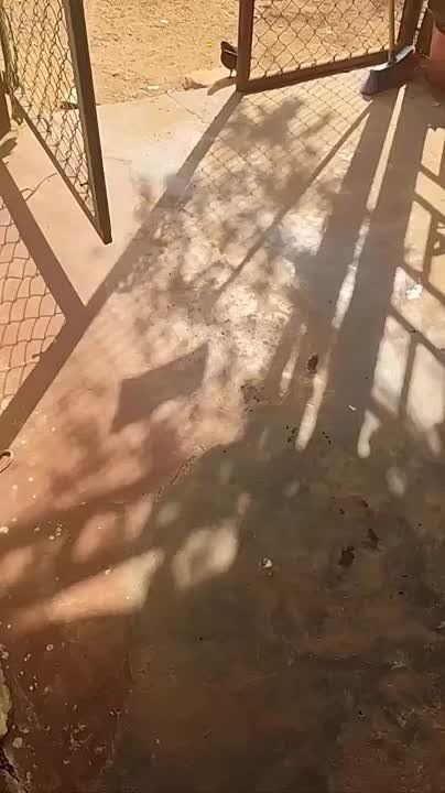 � ���� ������������ �����, ��� ���������� ������ �������� ����-����� ��������� ��������� ��� ����� �������