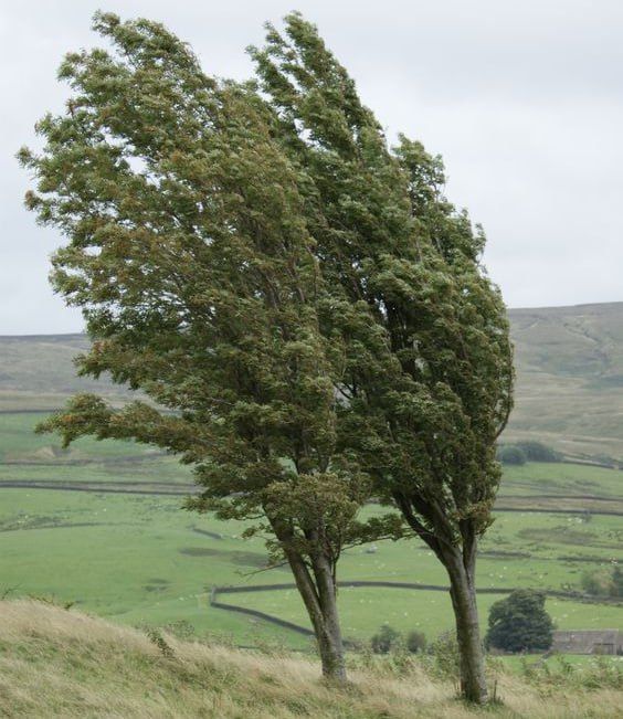 �������������: ������ ��������� ������ ��������� ����� �� 15 �/�