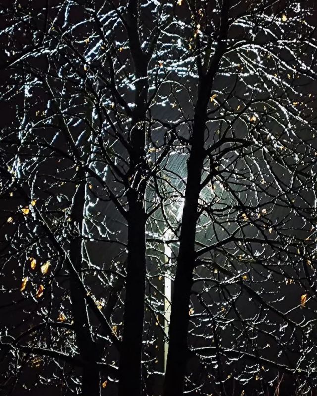 ����, ������ � �����, ������ ����� �� ������