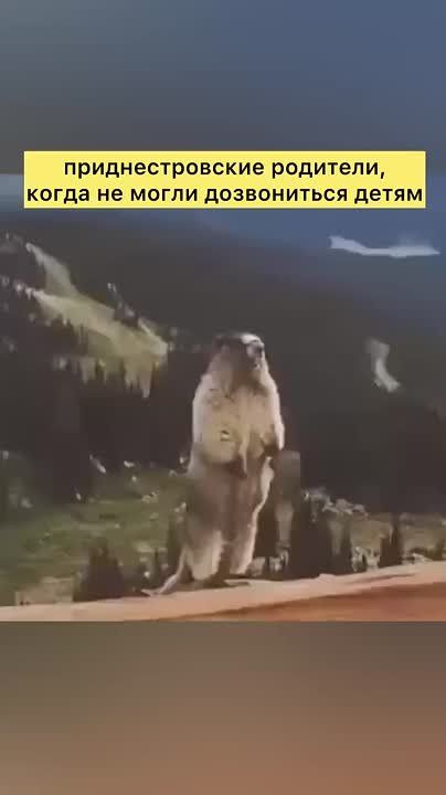 ����� ���� � �������� ��������