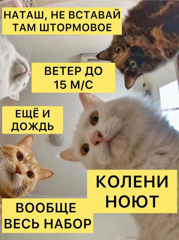 ������ � ������������� ������� ����� � �� 15 �/�