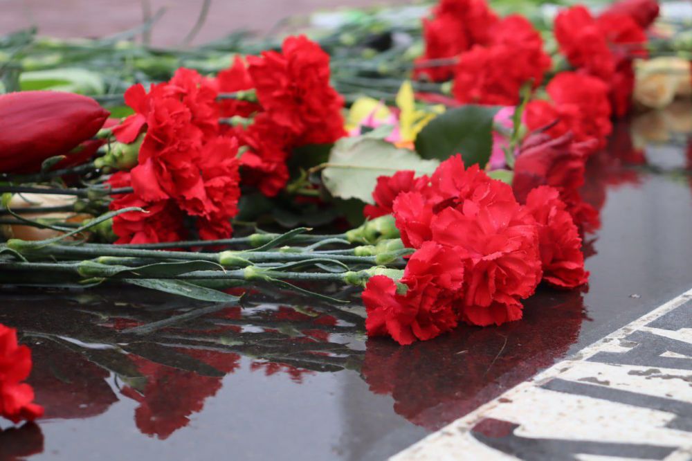 ��������� ��������� � 33 ����