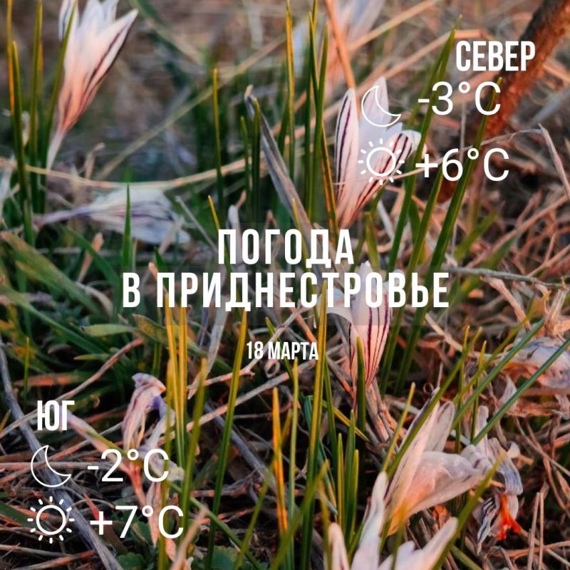 ���� � �� +7��. ��� ������������ �������. ������� �����