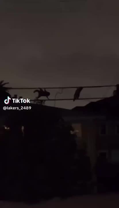 ������ ������� �� ��������� �������