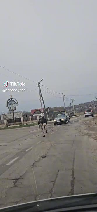 ���������� ����, ���� ���. �� ����� ������� �������� �����