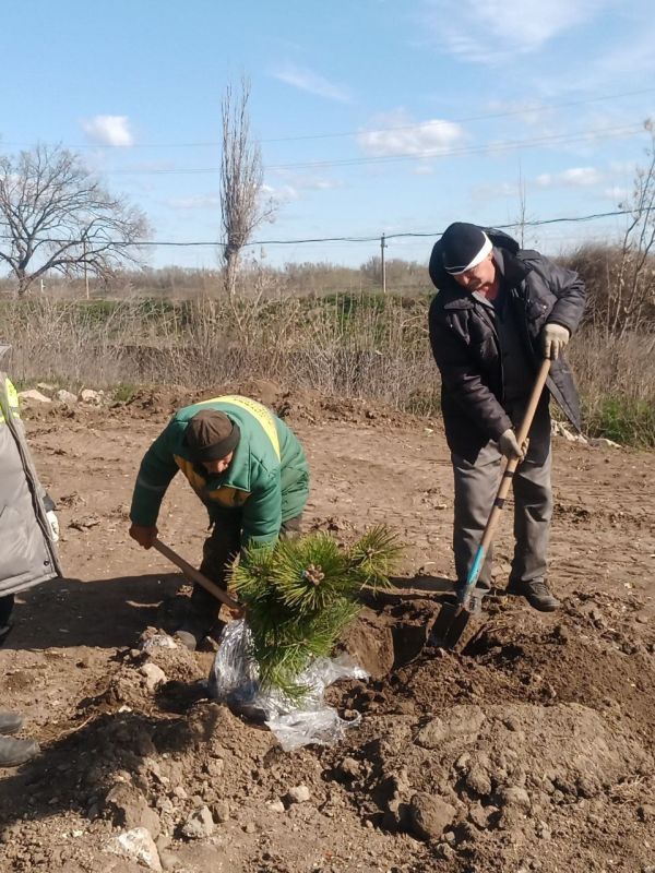 ����� ���������� �������� ���������� �����