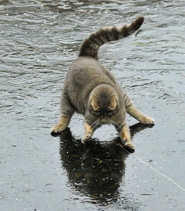 ������ � ������������� ��������