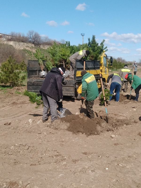 �� ������ �� ���� ����� �������� ���������� �����