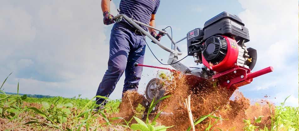 � ������� ������� �����, ����� ������� �������� ����� � ���������