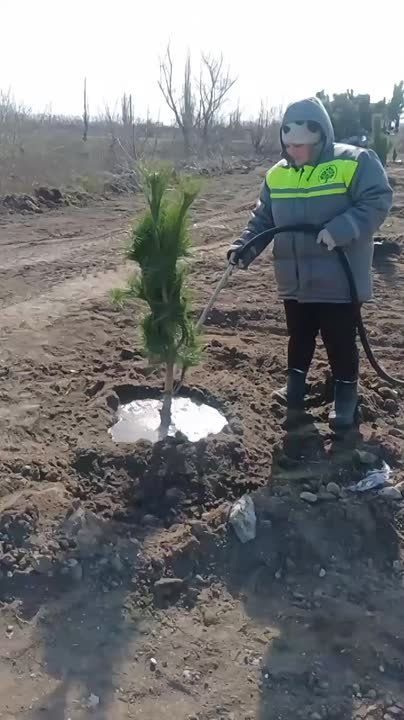 �������� ��� � ���������� ��������