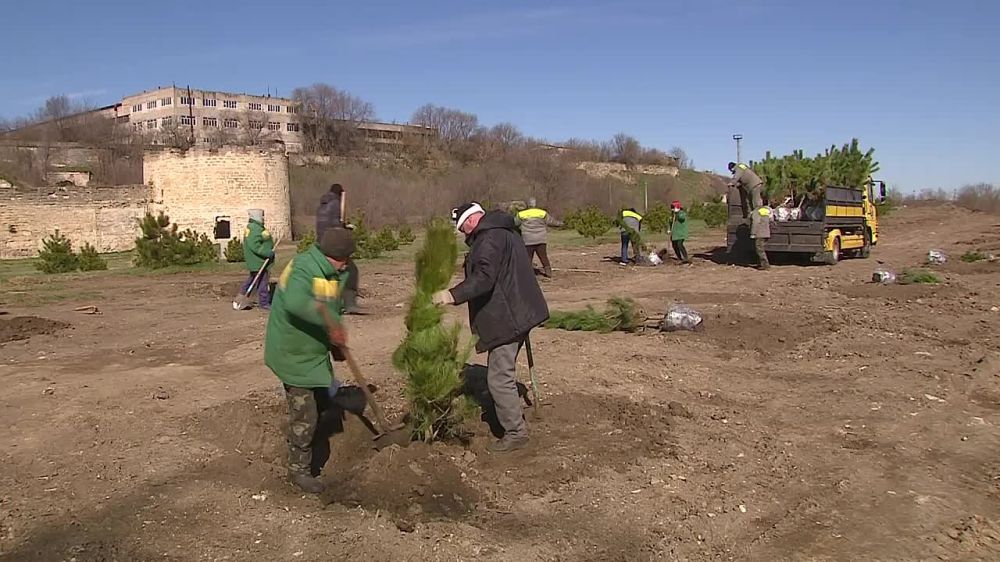 130 ����� ����� �������� ������� � ���������� �������� �� ������ � �����