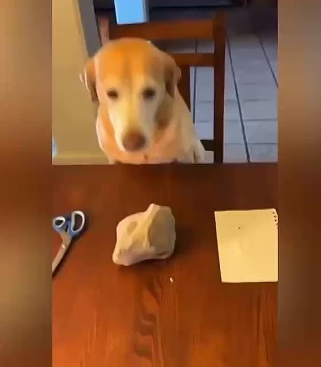 �� ��������� ��������� ������� ������-������� � ���� �������, �������, ������