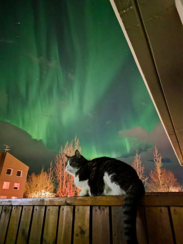 � �������� ������������ ���������� ����������� ������ ����, ������� ����� ��������� �� �������� �������