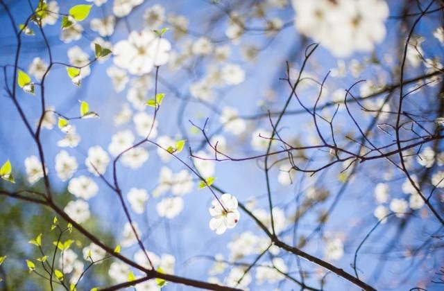 ������������� ���� �������� ������