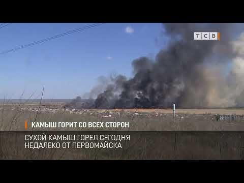 ����� ����� ����� ������� ���� �������� �� �����������