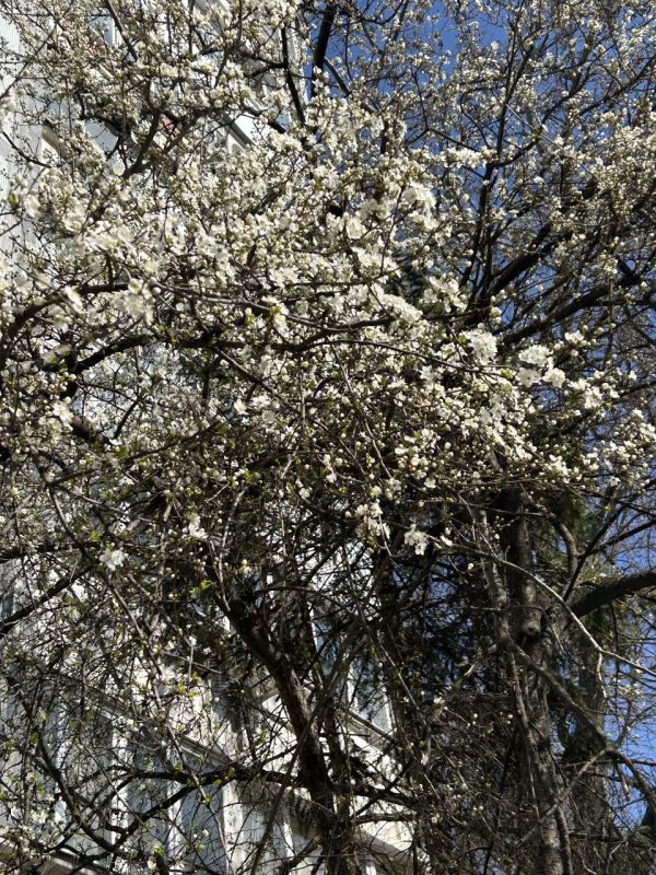 �������� ������� � ������ �����