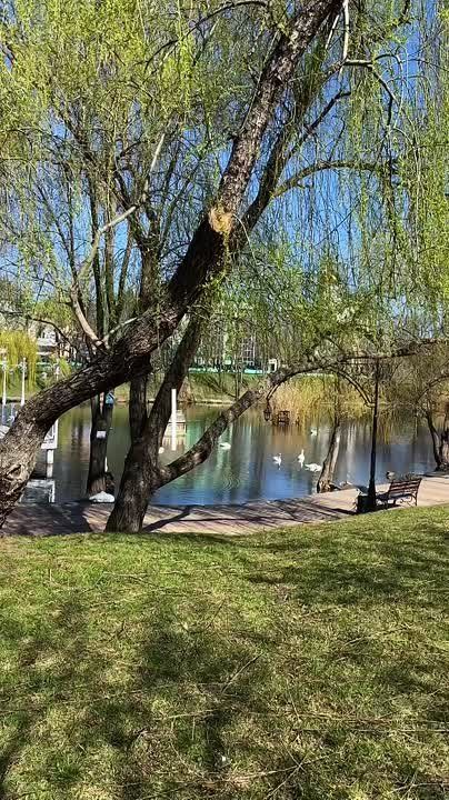 ����� �� ���������, � ��� ���� ������!