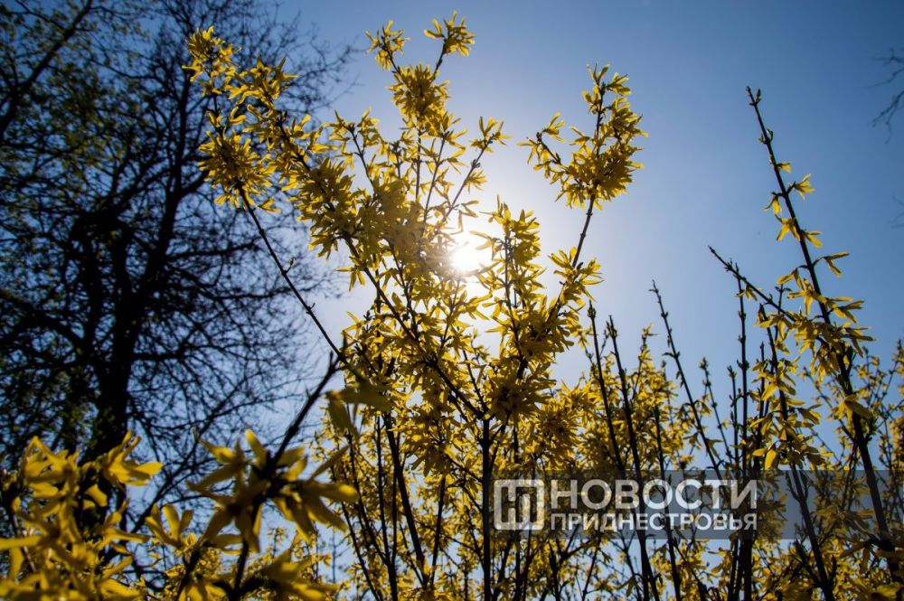 ������� � 11:01 ������ �������� �� ������ ��������� � ��������