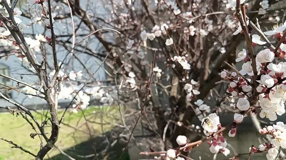 .������ �������� � � ����� ����������