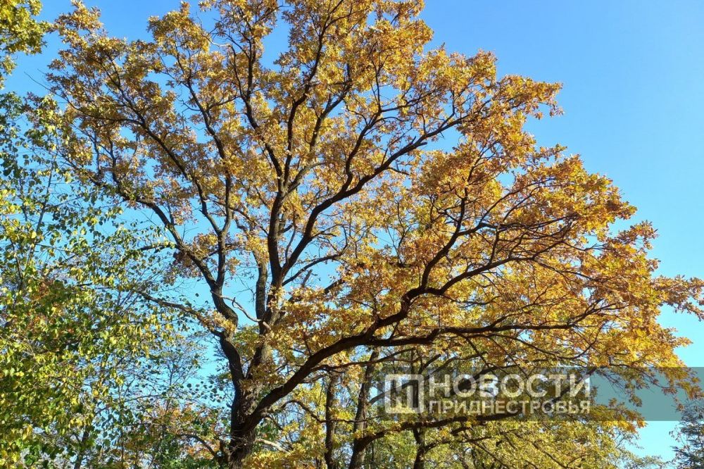 54 ������� ���� ����������� �������� � ������������� � ���� ����