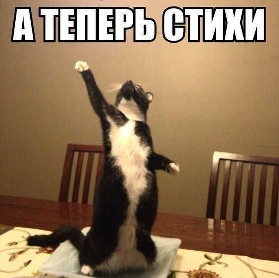 ����, ����� �� ������ ���� ����?� ����� �������� �� �����, � �� ���� ������, �� ������ ���-�� �������