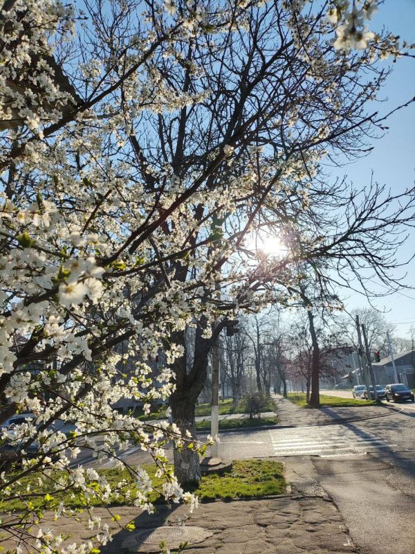 ��� �������� ��������� ����� �� ����� �� � ��, 22 ����� ��������� ���������� ����������, ��� �������