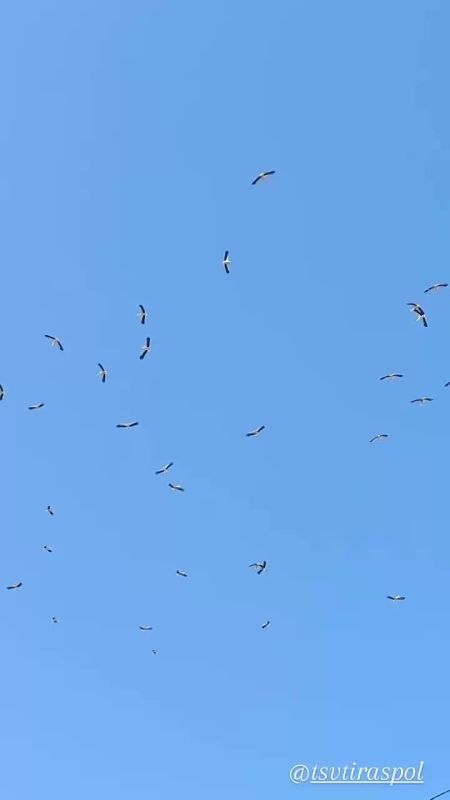 ������ ����������, ��� �������� ��� ���������� �����