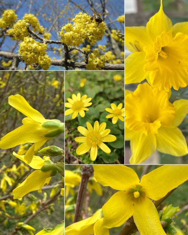 ��������������� ����� � �����