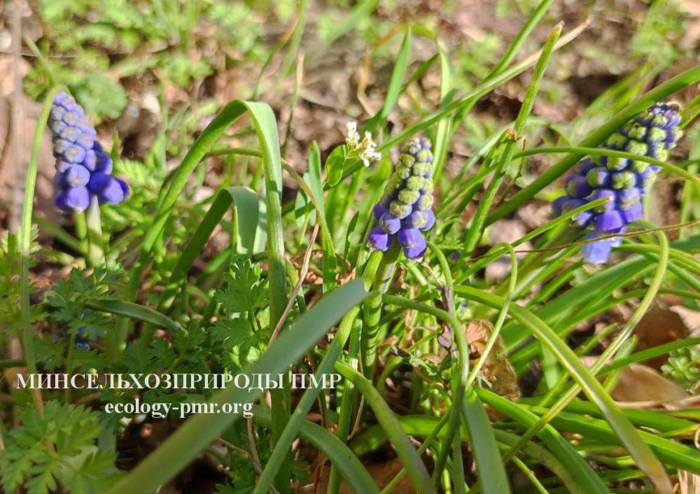 Доброго утра! Прогноз погоды на сегодня, 21 марта