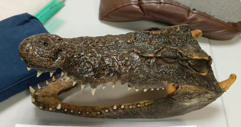 ����������� ������ � ��������� ��� � ������� �� �������� ���������� ������ ���������, � ���