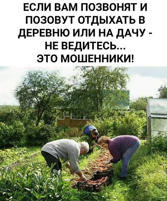 �� ����� ������� +16. ���� �� ������� ������ �����, ������ ����� �����