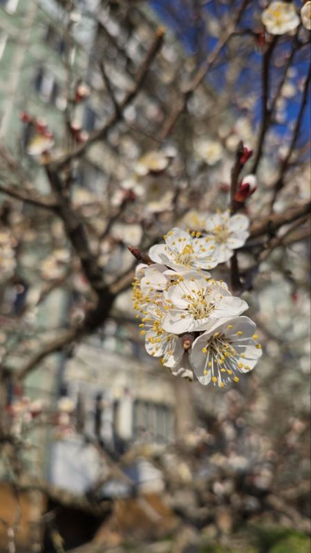 � ��������� �����