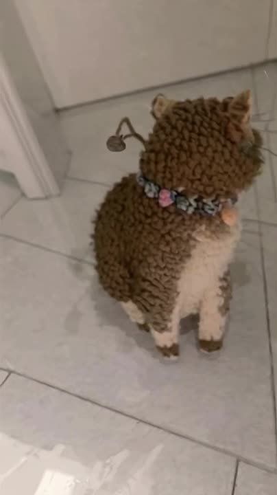 ��������� �������� � ���� � �������� ����