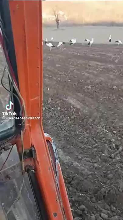 ���������� �� ������� ���� �� ������� ����� � ����� �������� ���� ������